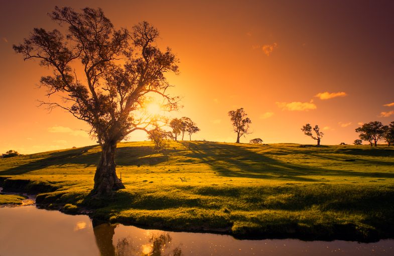 Sunset Creek in Adelaide