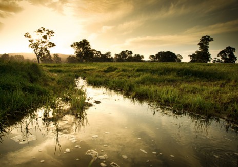 Wetlands in Adelaide