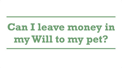 Can I leave money in my Will to my pet? | Genders - Adelaide