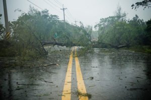 Genders and Partners Hurricane warns about risk planning
