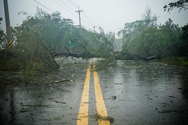 Genders and Partners Hurricane warns about risk planning