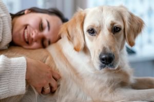 expert advice for pet trusts